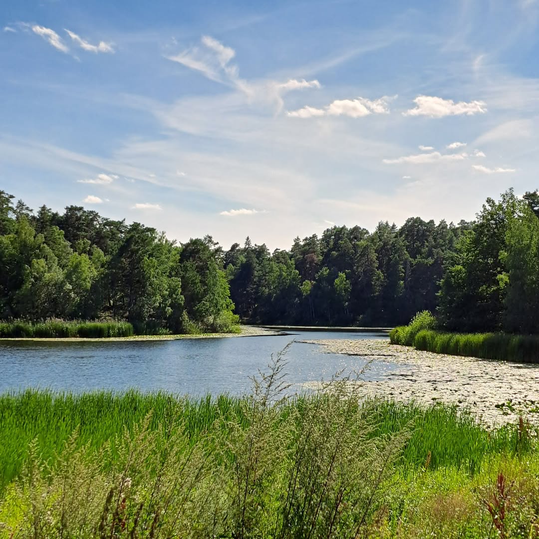Sjö omgiven av skog nära Blackeberg